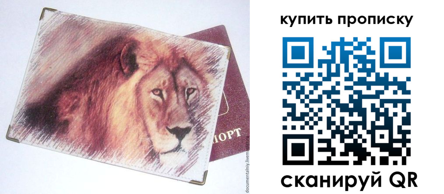 прописка паспорт в Сосновом Бору